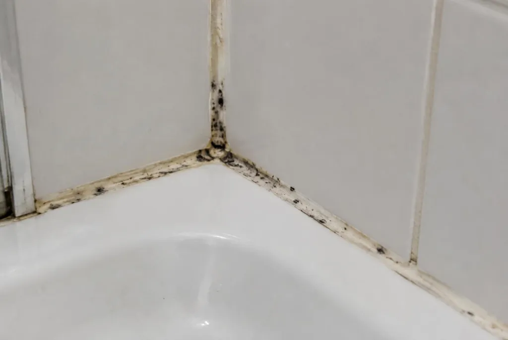 Kitbedrijf Diemen – beschimmelde kitranden